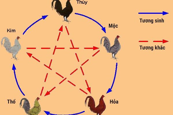 Màu gà mệnh Mộc được anh em quan tâm nhiều 